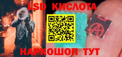 индика Славгород