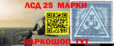 индика Славгород