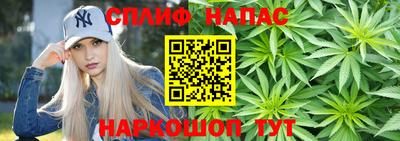 индика Славгород